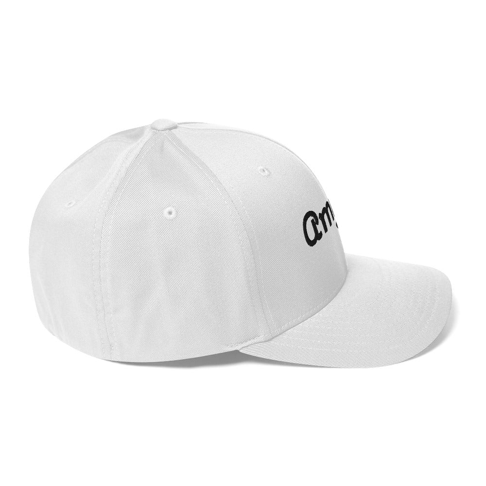Flexfit Dad Hat