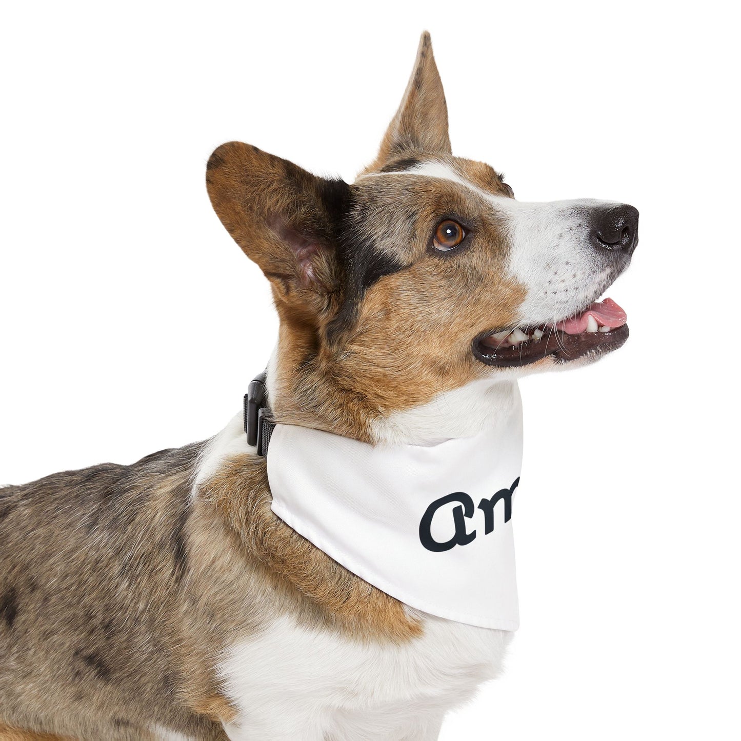 Pet Bandana Collar