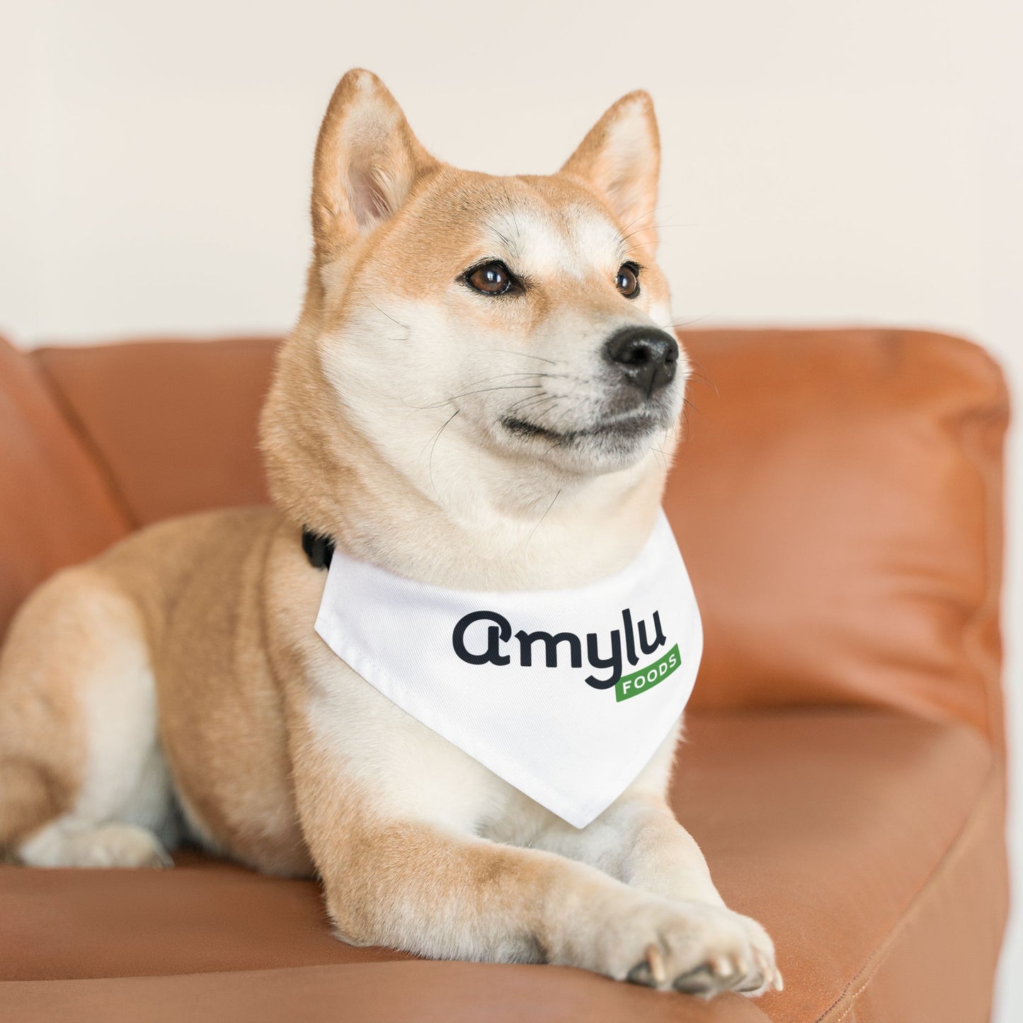 Pet Bandana Collar