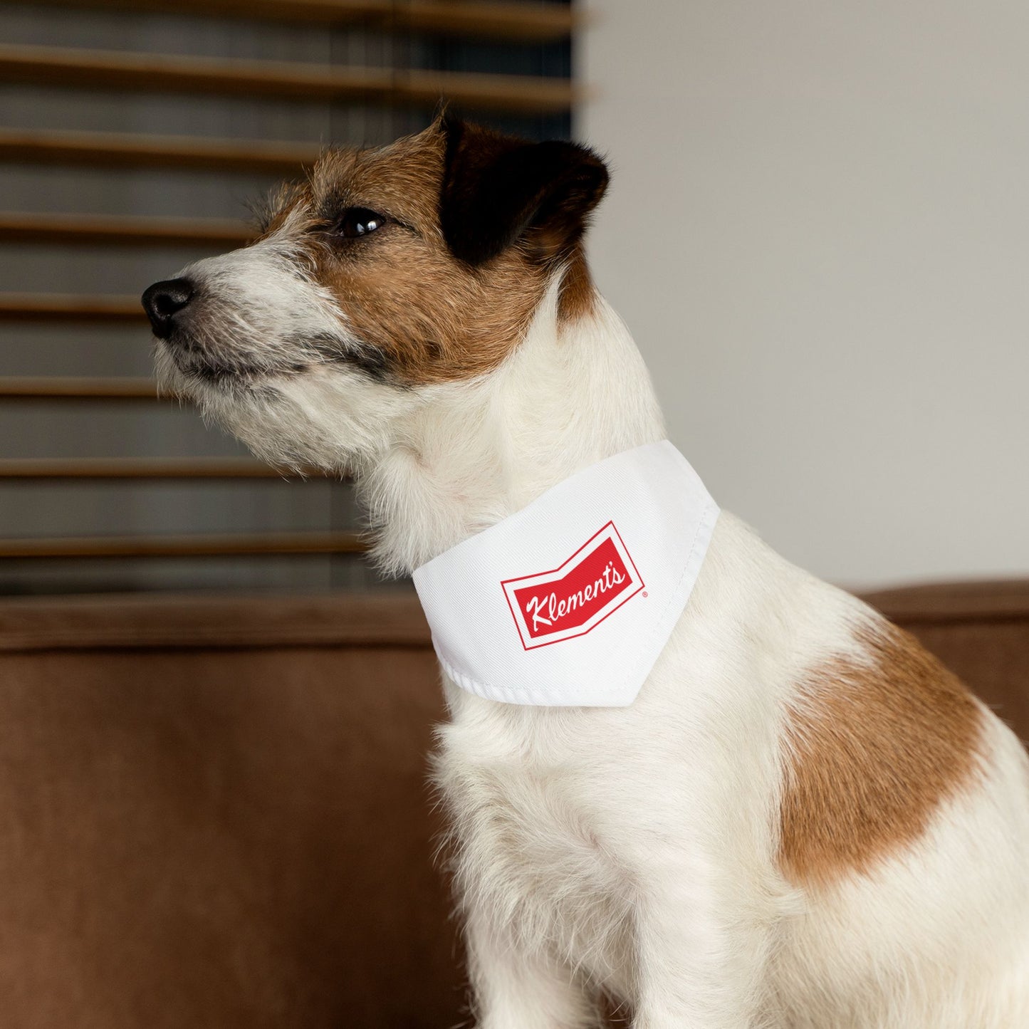 Pet Bandana Collar