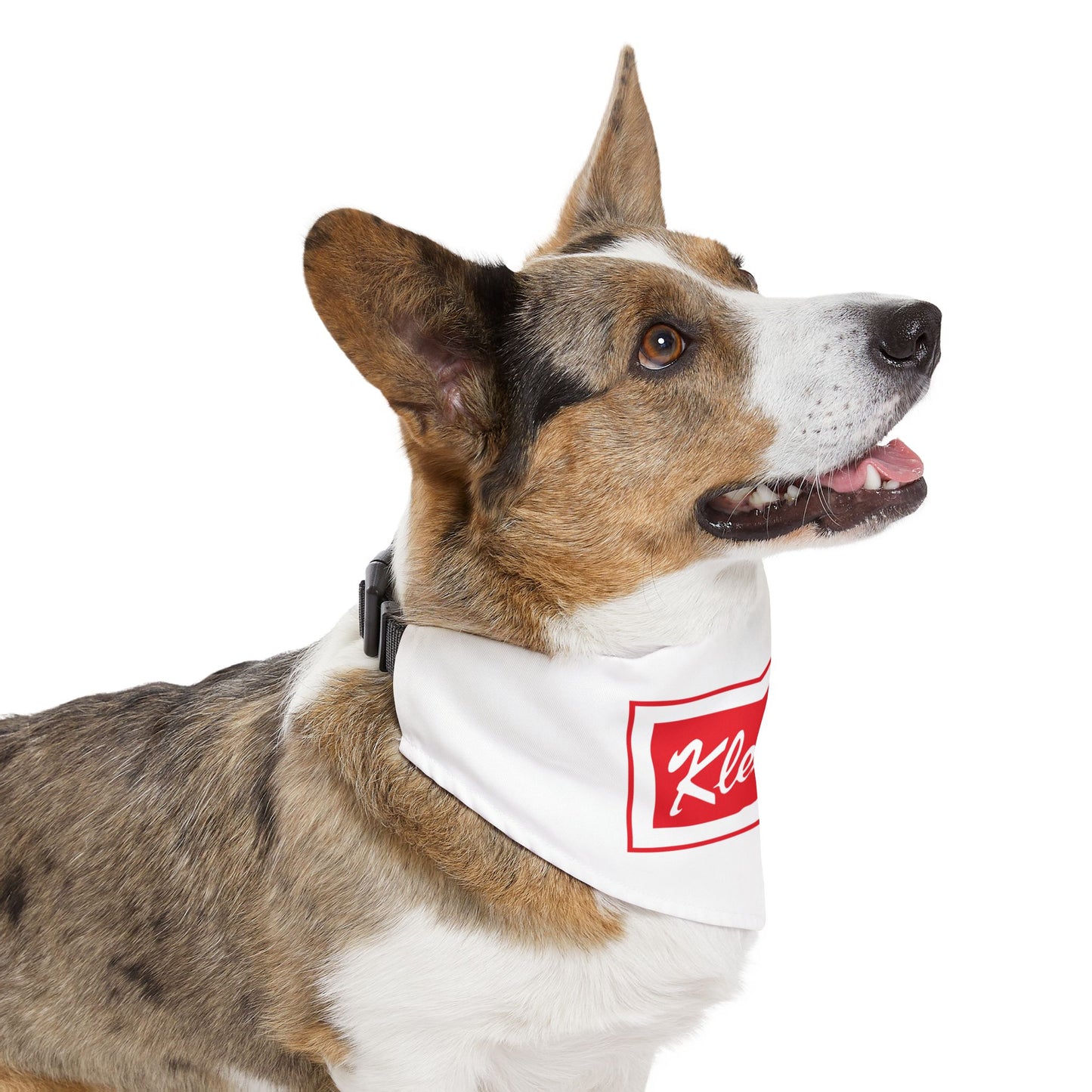 Pet Bandana Collar