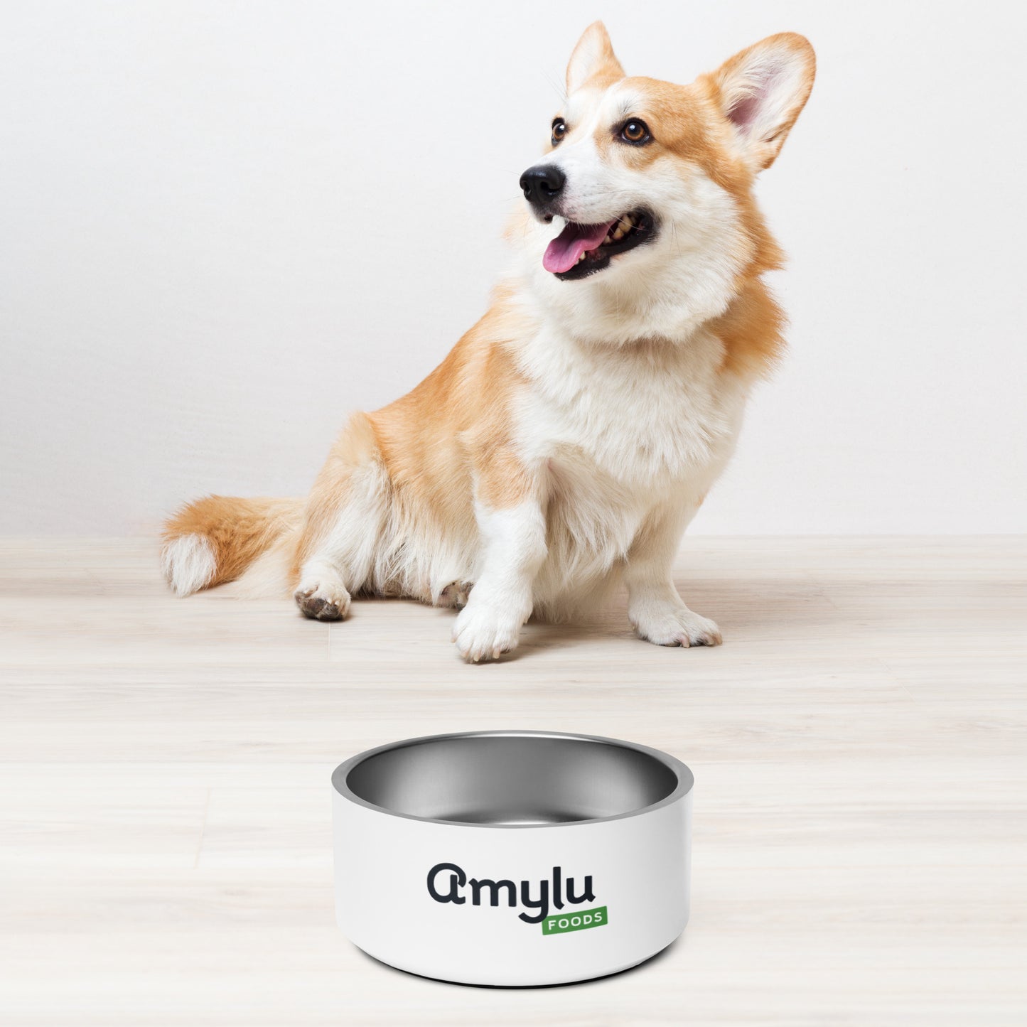 Pet Bowl
