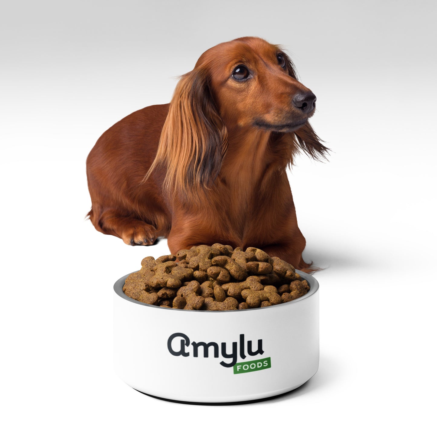 Pet Bowl